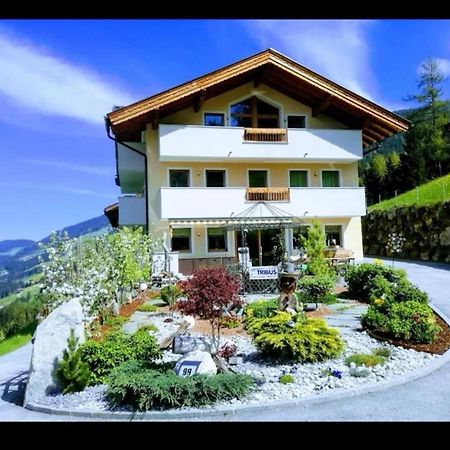 Ferienwohnungen Hinterstein Hart im Zillertal Extérieur photo