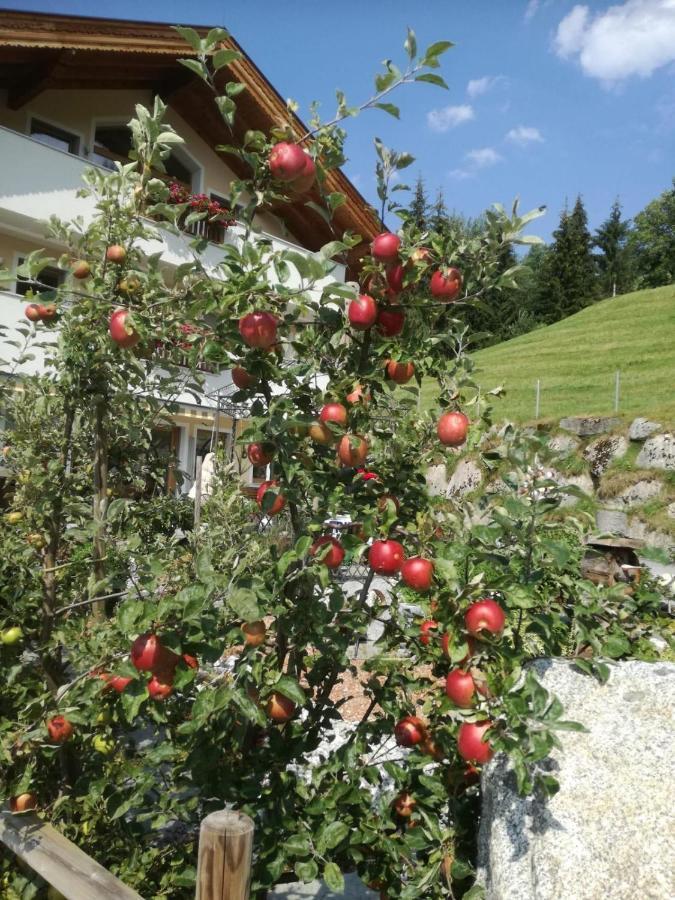 Ferienwohnungen Hinterstein Hart im Zillertal Extérieur photo